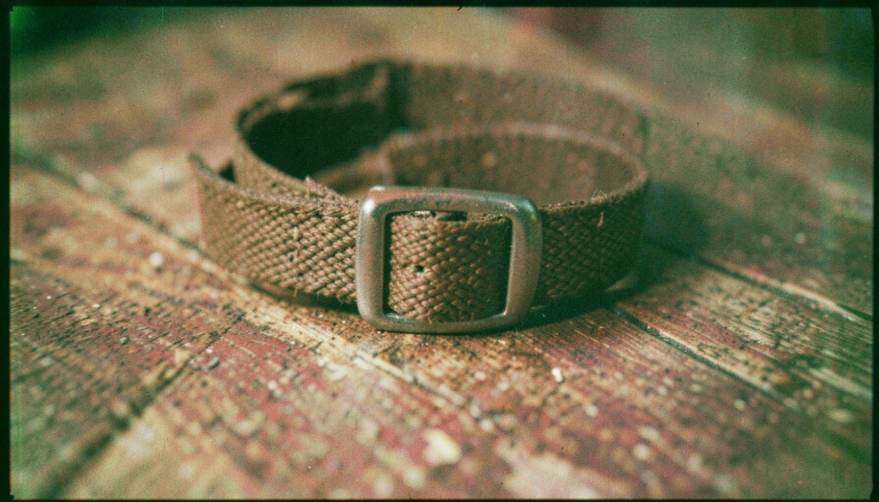 An analog film close-up of a woven dog collar with a metal buckle on a rustic wooden floor, warm browns and muted reds, visible grain.